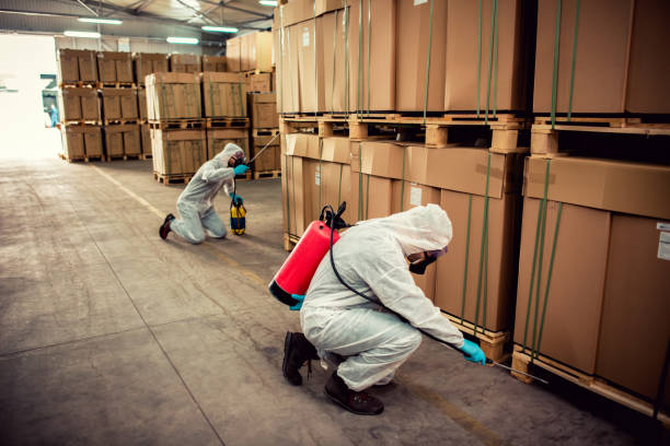 Best Mosquito Control Services  in Mount Airy, GA