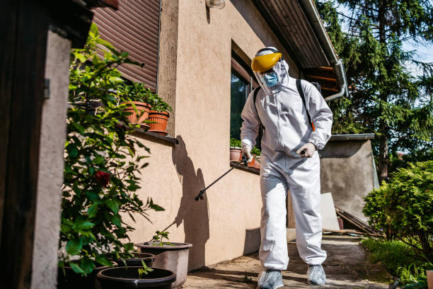 Best Pest Control for Restaurants  in Mount Airy, GA