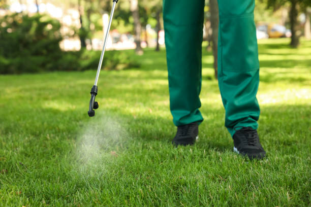 Best Best Pest Control Companies  in Mount Airy, GA