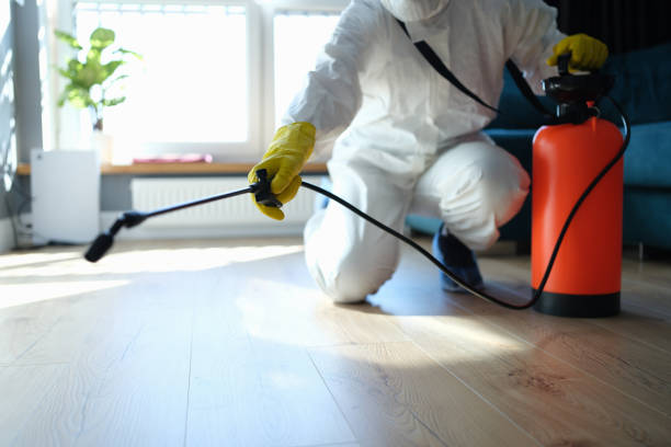 Best Pest Inspection Near Me  in Mount Airy, GA