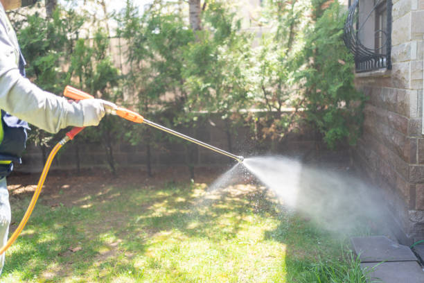 Best Rat Extermination Near Me  in Mount Airy, GA