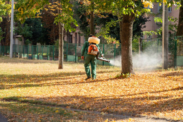 Best Bed Bug Extermination  in Mount Airy, GA
