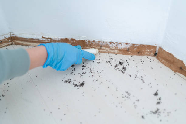 Mount Airy, GA Pest Control Pros