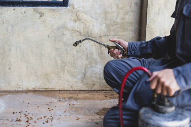 Best Residential Pest Control  in Mount Airy, GA